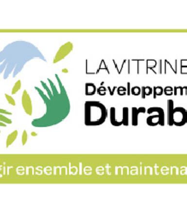 Logo Vitrine du DD