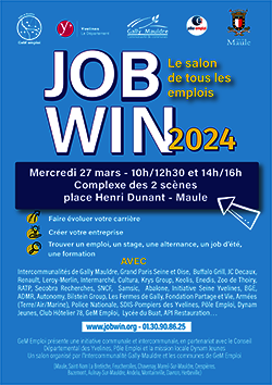 Affiche Job Win 2024