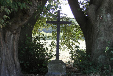 Croix Sainte Geneviève à Feucherolles