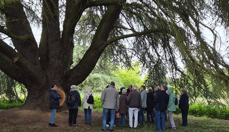 Sortie Arboretum 2026