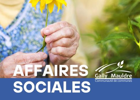 Couverture Guide des affaires sociales