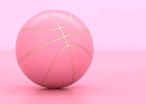 Basket SNLB
