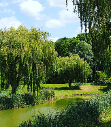 Etang de Chavenay