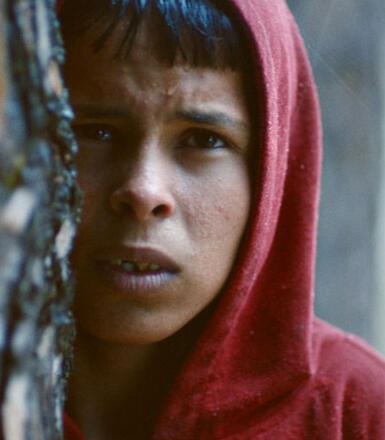 Les enfants rouges