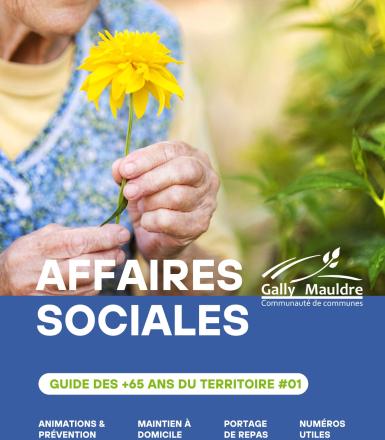 Couverture Guide des affaires sociales