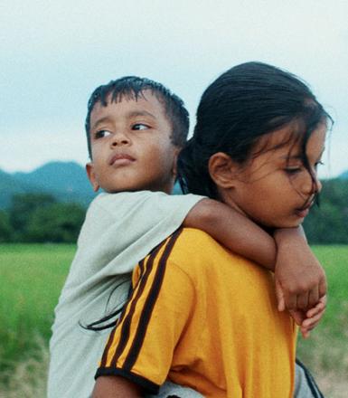 Les fleurs du manguier