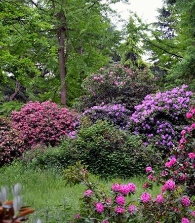 Arboretum