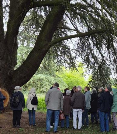 Sortie Arboretum 2026