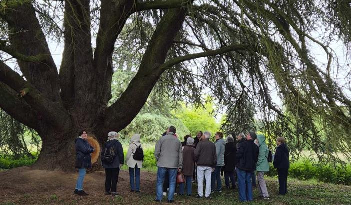 Sortie Arboretum 2026