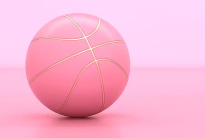 Basket SNLB