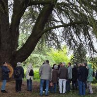 Sortie Arboretum 2026