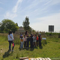 Visite du Jardin d'Alania
