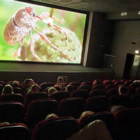 Ciné pour les enfants
