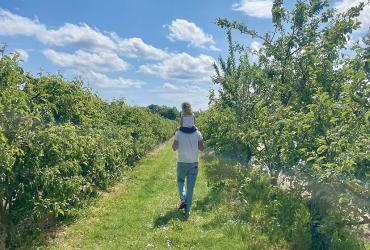 La Lettre Gally Mauldre #27 - Couverture