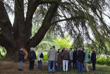 Sortie Arboretum 2026
