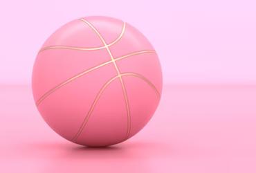 Basket SNLB