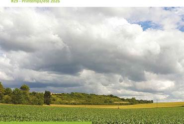 La Lettre #29 - Visuel site